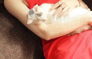 QingDouKe青豆客 - 最新图库揭秘:乔恩夕的红裙怎能不让人侧目!