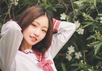 说到沧霁桔梗的图集分享,我只能说这个“套装”让人眼前一亮啊!