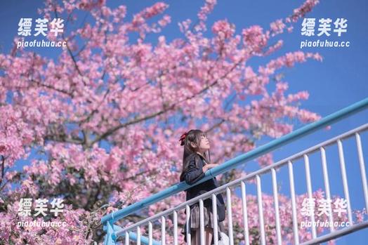 当萌芽儿o0穿上毛绒内衣，你会发现…资源真心烫手